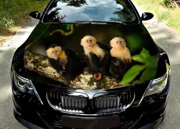capuchin mērkaķis Auto Kapuci Apmetni Krāsu Vinila Decal Uzlīmes Kravas automašīnu Grafiskā dzinēja Pārsegs Pielāgotu Automašīnu Dekorēšana Uzlīmes